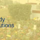 Parkland School Tragedy Review and Solutions